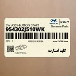 كليد استارت (954302J510WK) کیا