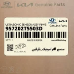 سنسور التراسونيك_طرفين (957202T5503D) کیا