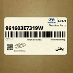 پخش (961603E7319W) کیا