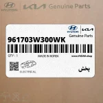 پخش (961703W300WK) کیا
