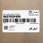 آمپلي فاير (963703F450) کیا