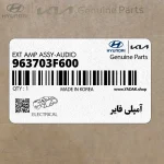 آمپلي فاير (963703F600) کیا