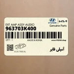 آمپلي فاير (963703K400) کیا