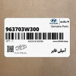 آمپلي فاير (963703W300) کیا