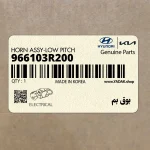 بوق بم (966103R200) کیا