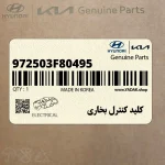 كليد كنترل بخاري (972503F80495) کیا