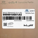 كانكتور واسط (9999910001AS) کیا