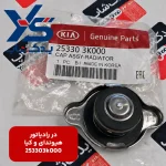 در رادياتور (253303K000) هیوندای کیا