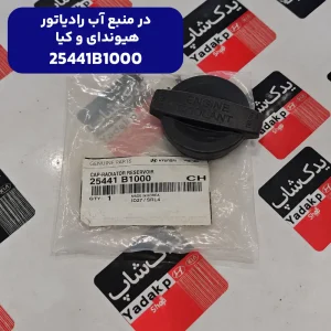 در منبع آب رادياتور هیوندای و کیا
