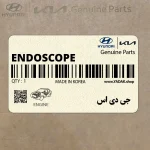 جي دي اس (GDS ENDOSCOPE) کیا