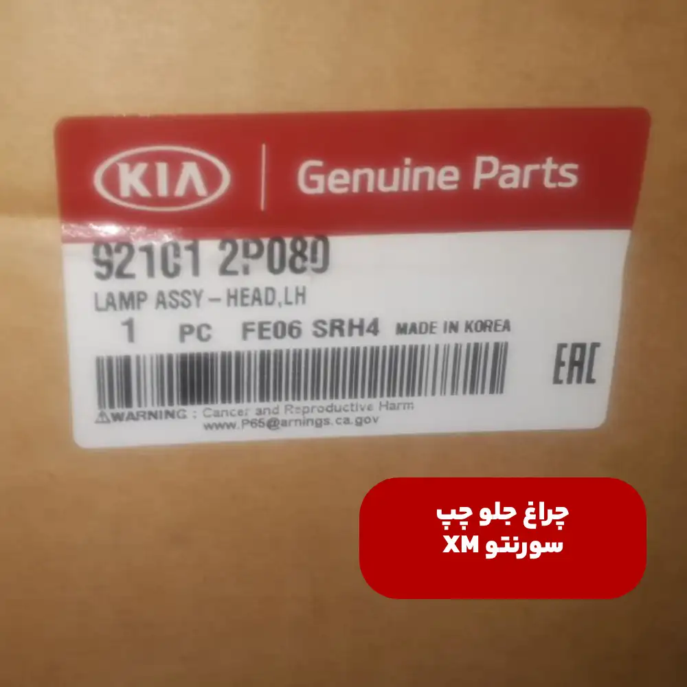 چراغ جلو چپ (921012P080) کیا