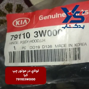 لولاي در موتور چپ (791103W000) کیا