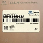 پيچ (MB48566962A) کیا