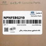 ماده شستشوي سيستم سوخت رساني (NPNFSBG210) کیا