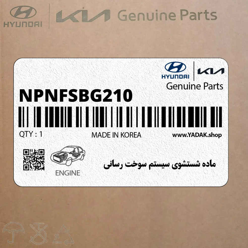 ماده شستشوي سيستم سوخت رساني (NPNFSBG210) کیا