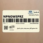 ماده شستشوي كامل سيستم سوخت رساني و احتراق (NPNOWSPRZ) کیا