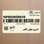 اسپري مولتي كلينر (NPNOWSR610) کیا