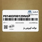 موكت اپيروس بژ (P81403F00129NGP) کیا