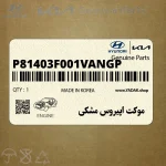 موكت اپيروس مشكي (P81403F001VANGP) کیا