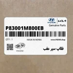 فلاپ سپر عقب (P83001M800EB) کیا