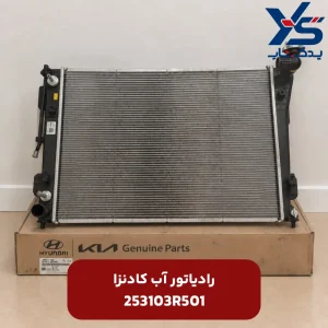 رادیاتور آب کادنزا