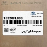 مجموعه بادگير كرومي (T8220FL000) کیا