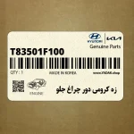 زه كرومي دور چراغ جلو (T83501F100) کیا