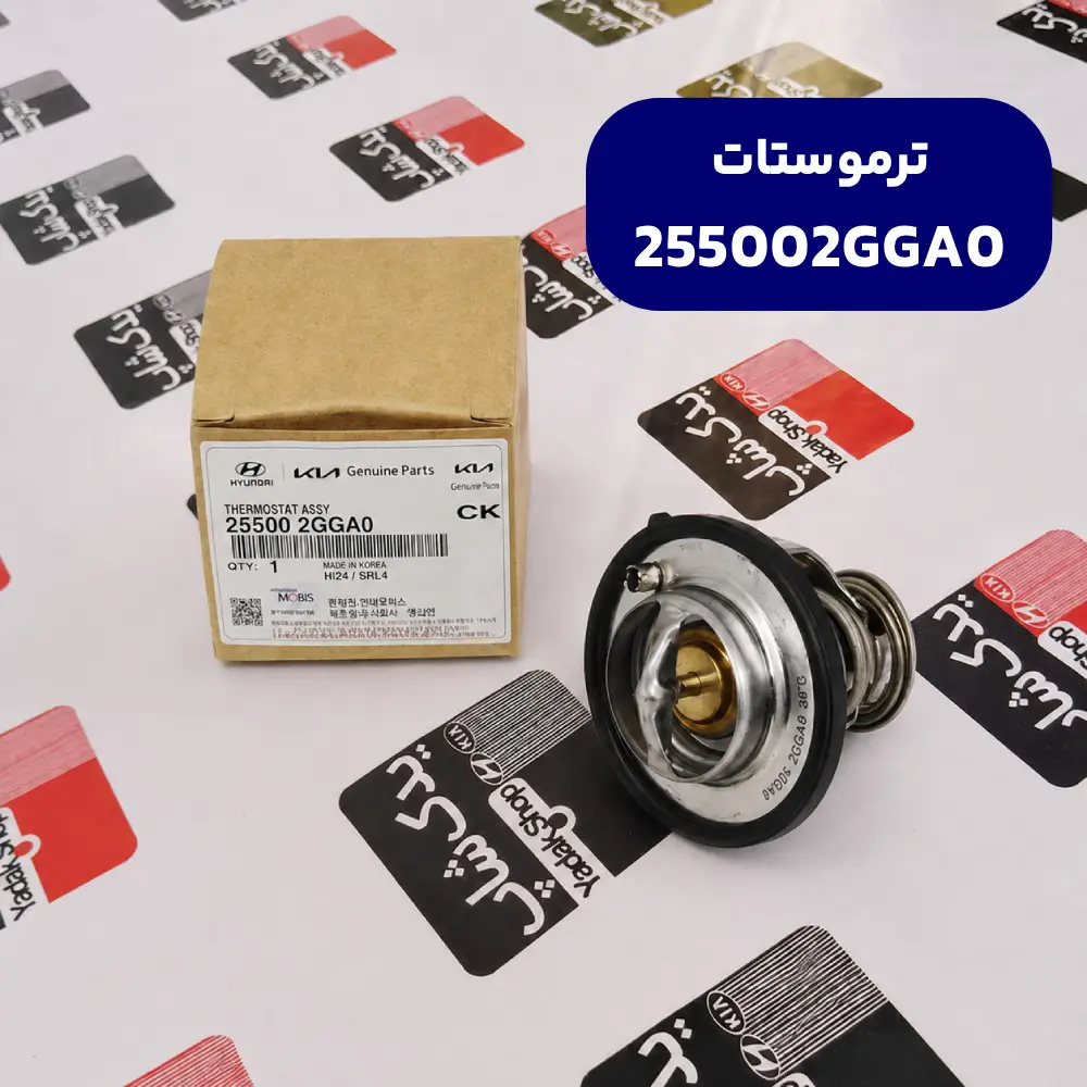 ترموستات (255002GGA0) کیا