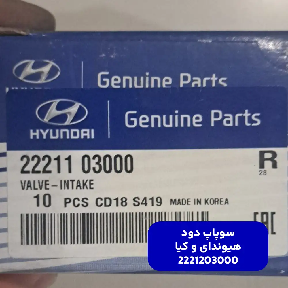 سوپاپ دود (2221203000) کیا