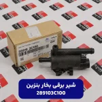 شير برقي بخار بنزين (289103C100) کیا