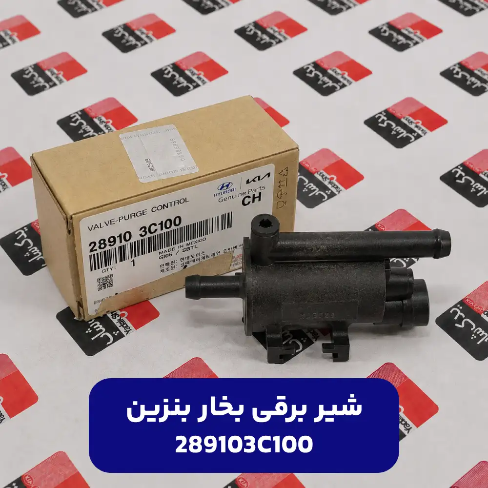 شير برقي بخار بنزين (289103C100) کیا