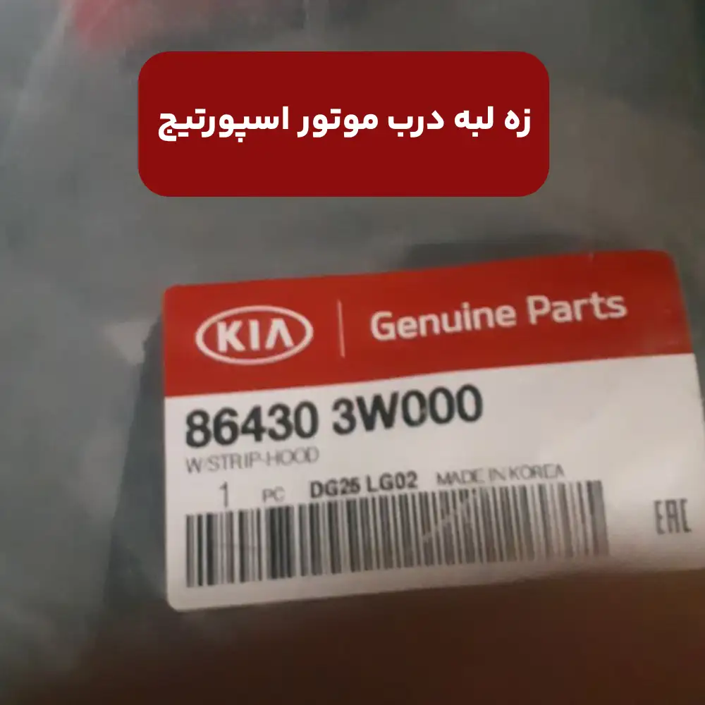 زه عايق در موتور (864303W000) کیا