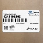 پيچ خزينه اي (1243106203) هیوندای