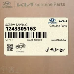 پيچ خزينه اي (1243305163) هیوندای