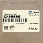 پيچ خودكار (1243405203) هیوندای