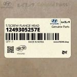 پيچ (1249305257E) هیوندای