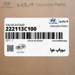 سوپاپ هوا (222113C100) هیوندای