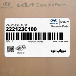 سوپاپ دود (222123C100) هیوندای