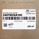 نيم موتور (244TM2GA10C) هیوندای