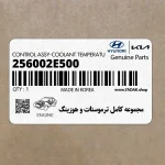 مجموعه كامل ترموستات و هوزينگ (256002E500) هیوندای