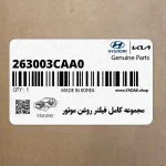 مجموعه كامل فيلتر روغن موتور (263003CAA0) هیوندای