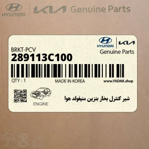 شير كنترل بخار بنزين منيفولد هوا (289113C100) هیوندای
