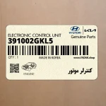 كنترلر موتور (391002GKL5) هیوندای