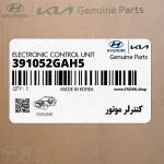 كنترلر موتور (391052GAH5) هیوندای