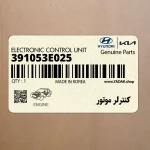 كنترلر موتور (391053E025) هیوندای