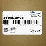 كنترلر موتور (391062GAG6) هیوندای