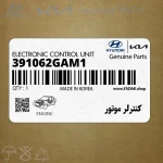 كنترلر موتور (391062GAM1) هیوندای