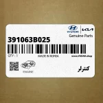 كنترلر (391063B025) هیوندای