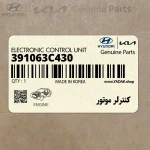 كنترلر موتور (391063C430) هیوندای