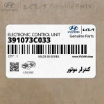 كنترلر موتور (391073C033) هیوندای
